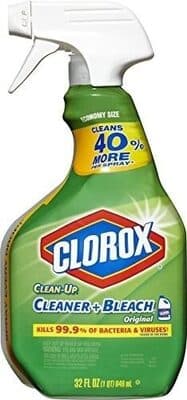 Clorox Bleach