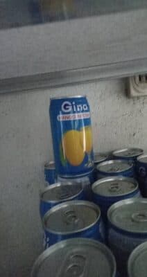 Gina Mango Nectar