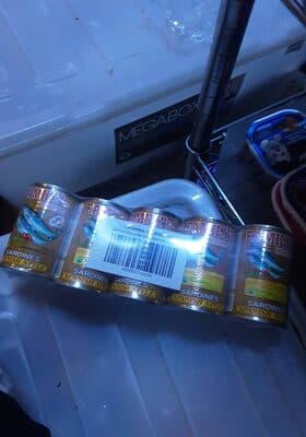 Family's Brand Sardines Spanish Style