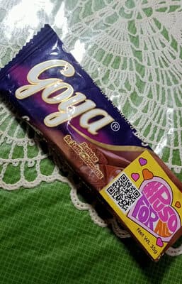 Goya Raisins in Milk Chocolate