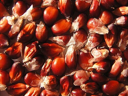 Bake King Food Color Red