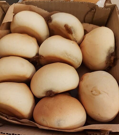 Kambal Pandesal Siopao Asado