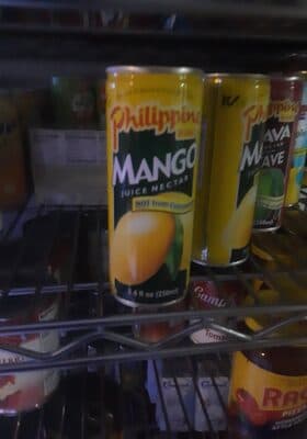 Profood International Juice Nectar Mango
