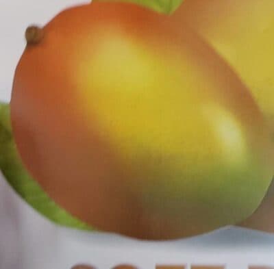 Soft Dried Mangoes