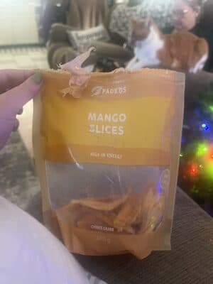 Padkos Dried Mango Slices